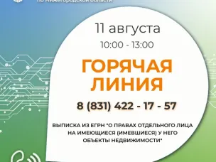 Какую информацию содержит выписка из ЕГРН?