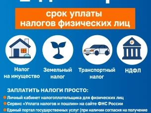 1 декабря срок уплаты имущественных налогов физическими лицами.