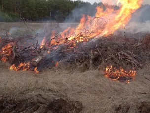 МЧС России проводит Всероссийские командно-штабные учения