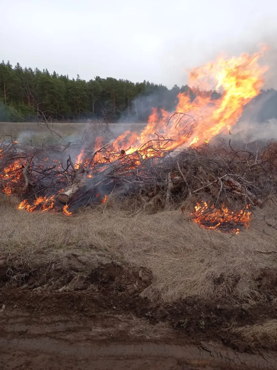 МЧС России проводит Всероссийские командно-штабные учения