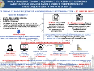 Нижегородстат призывает малый бизнес принять участие в экономической переписи