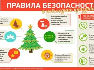 О правилах безопасности в новогодние праздники