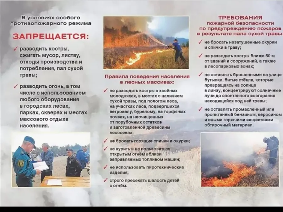 На территории Нижегородской области установлен особый противопожарный режим.