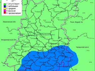 Пожароопасность в лесах